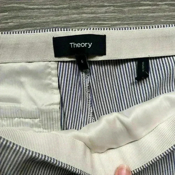 Theory Blue Gray Vertical Stripe Side Zip Career Office Cropped Womens 6 Pants - Picture 3 of 8
